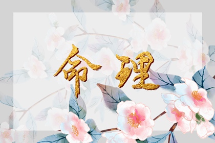 日历万年历查询_2026日历_2026年日历表